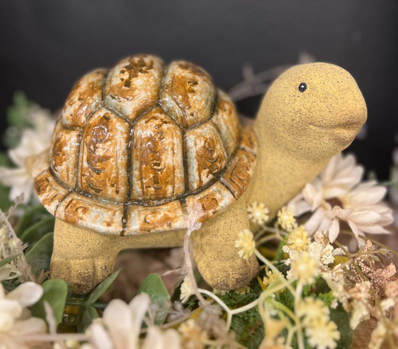 Natural Turtle