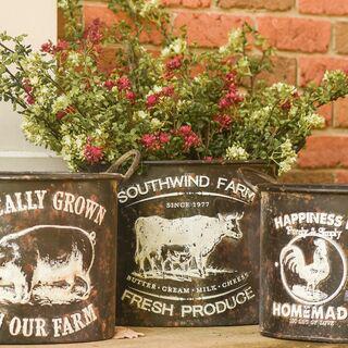 Small Black Embossed Farm Pot