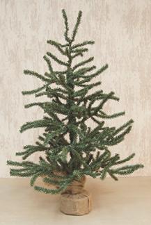 2' Pine Tree With Burlap Base