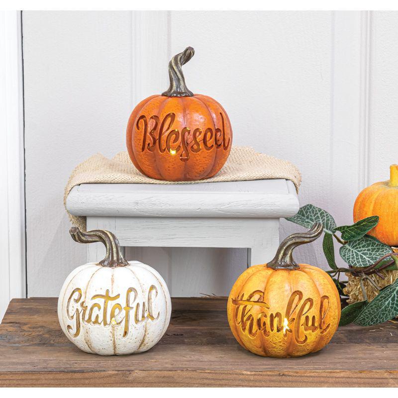 Light Up Pumpkin