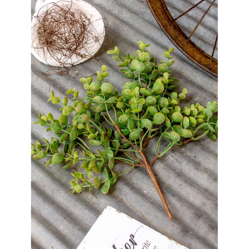 Succulent Bush