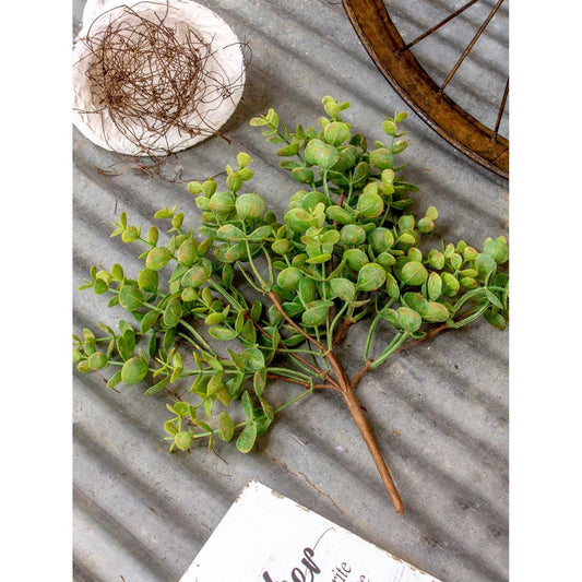 Succulent Bush