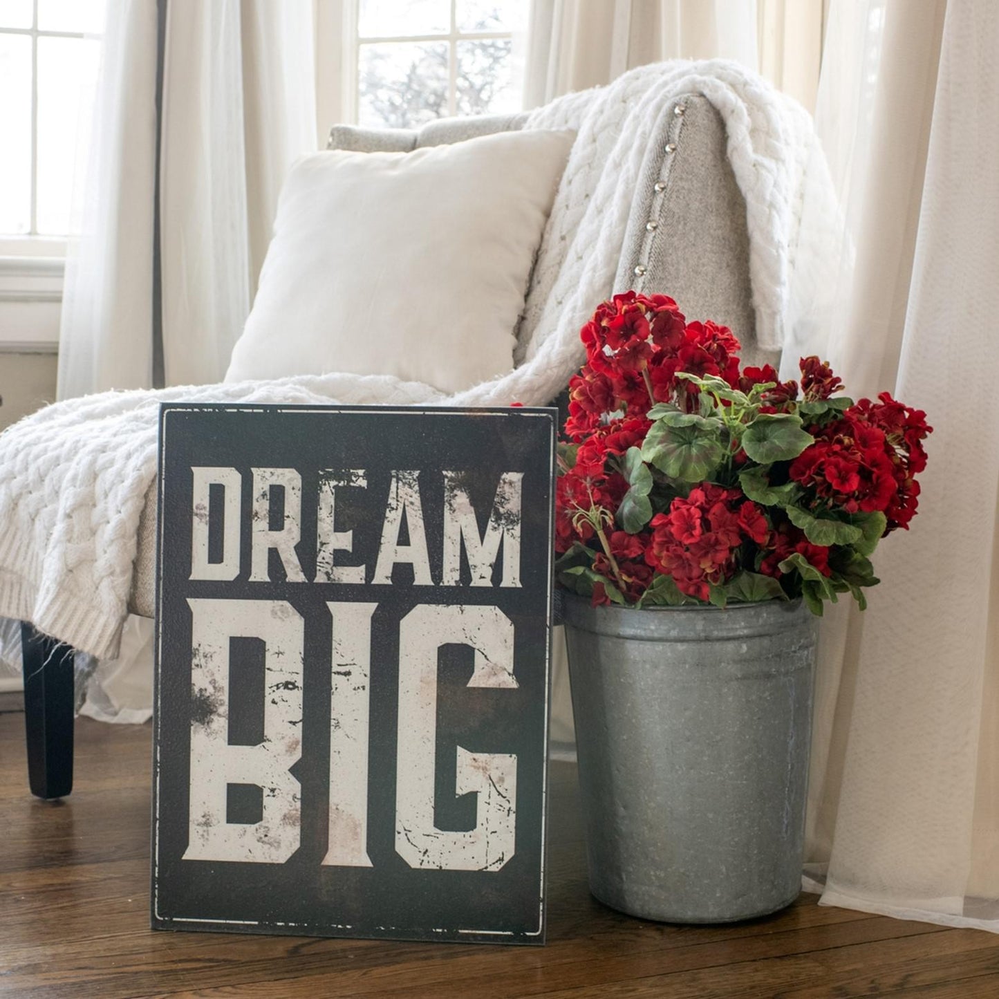 Dream Big Sign