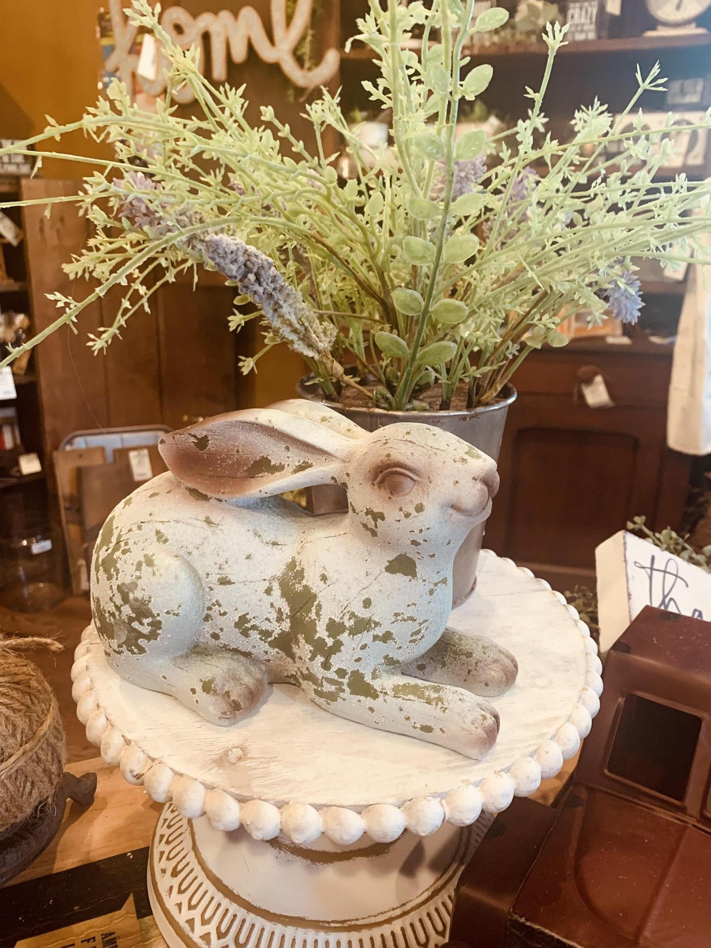 Resting Bunny