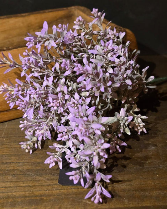 Lilac Breeze Pick