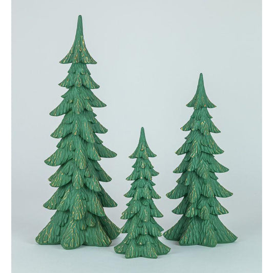 Small Pine Forest Tree