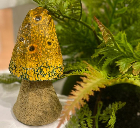 Yellow Morel Mushroom