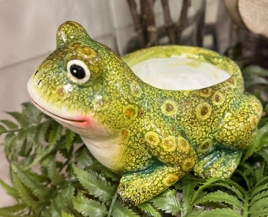 Hazel Frog Planter
