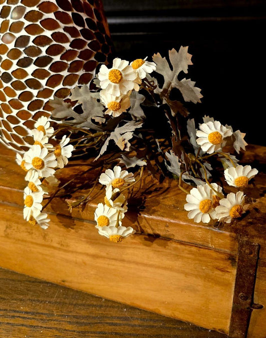 White Chamomile Pick