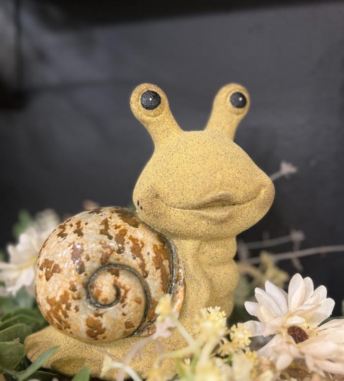 Large Natural Snail