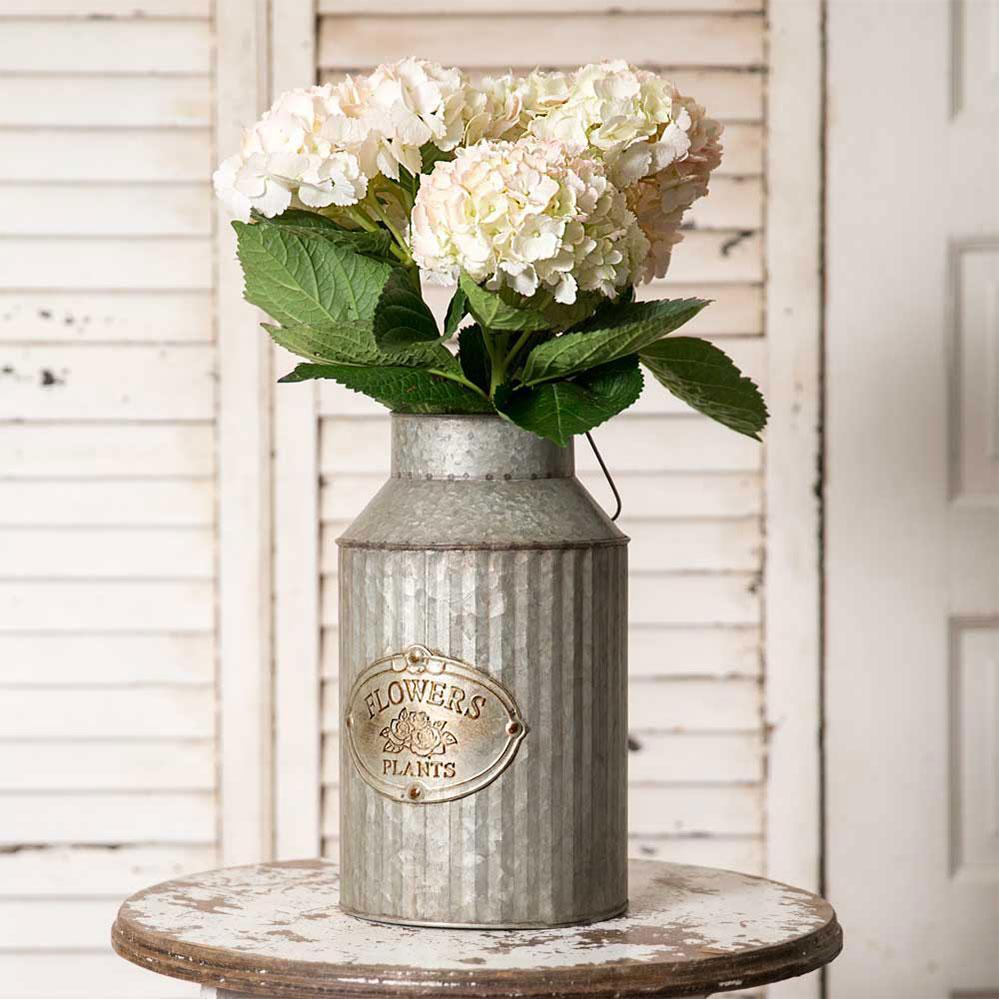 Flowers and Plants Can