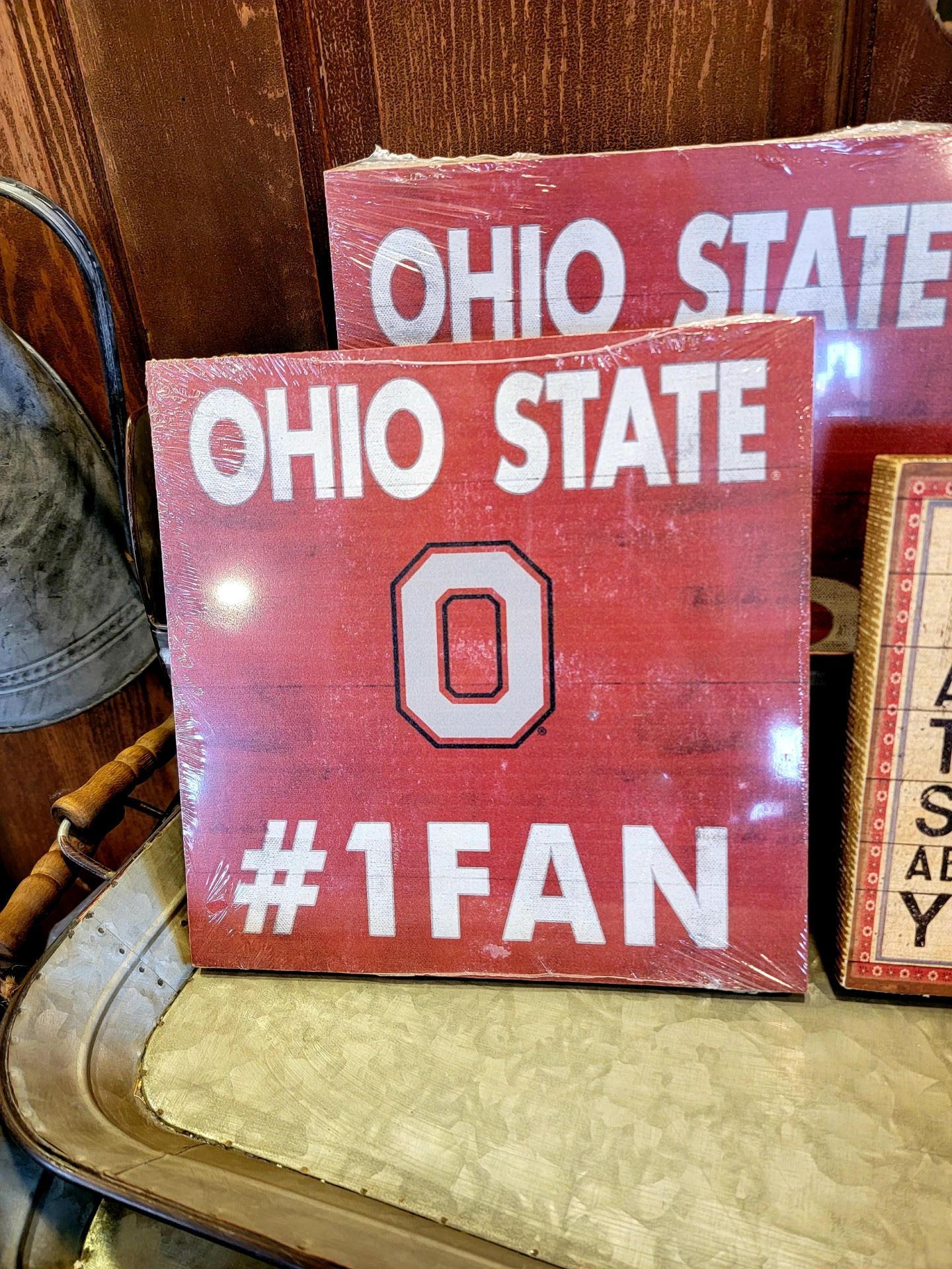 Ohio State #1Fan Picture