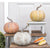 Weathered Pumpkin