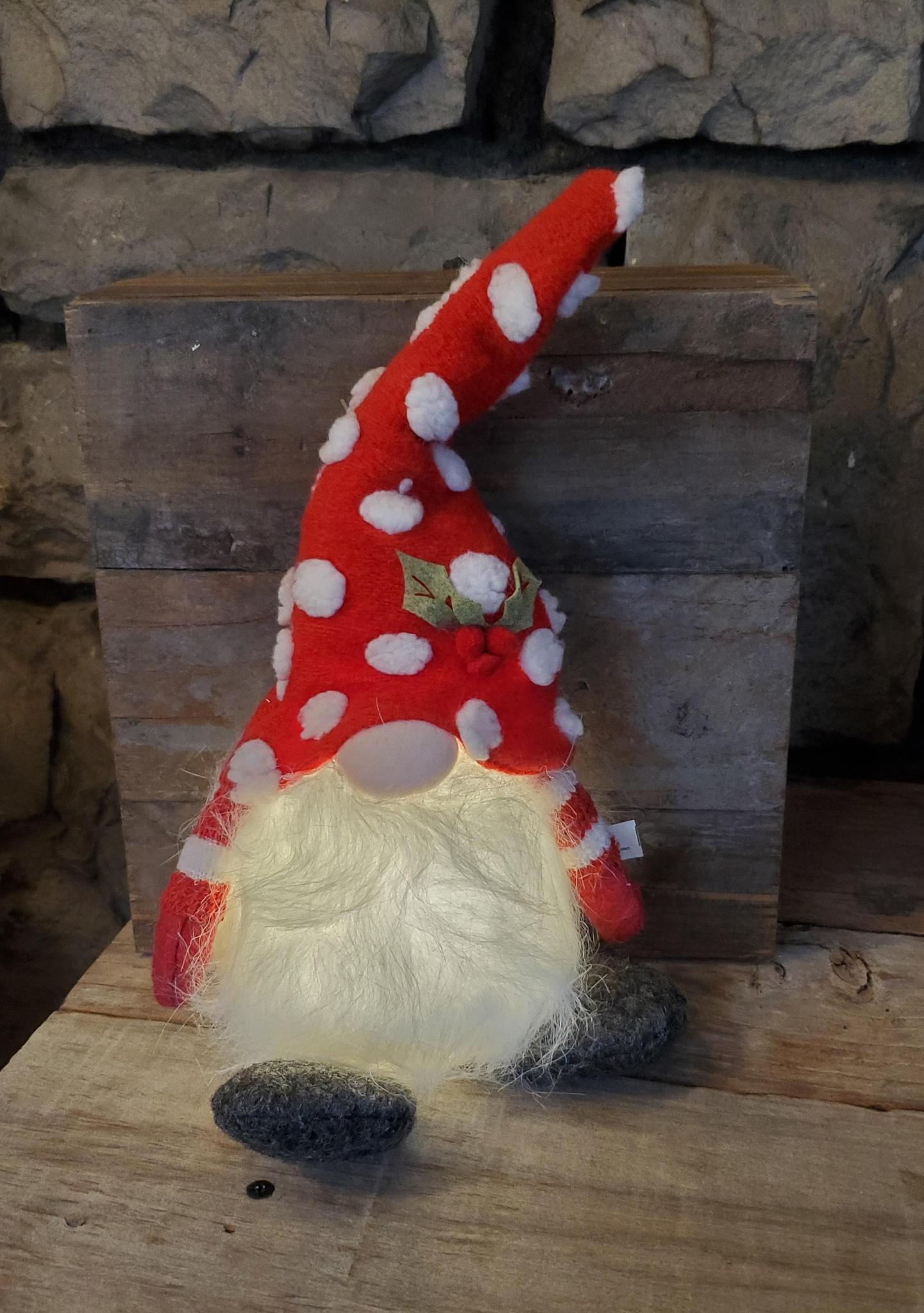 Sprightly Winter Gnome with Lights