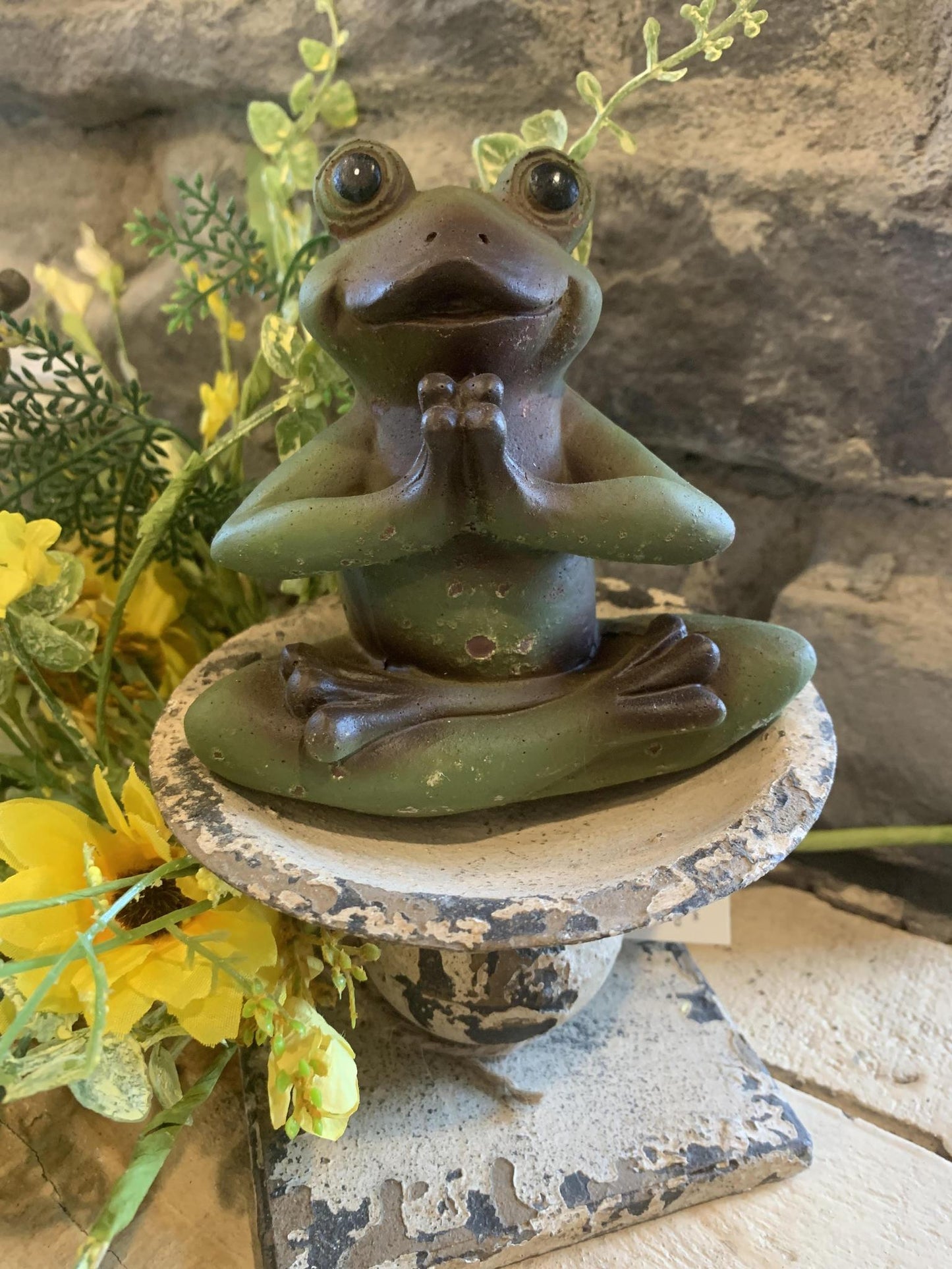 Yoga Frog - Praying